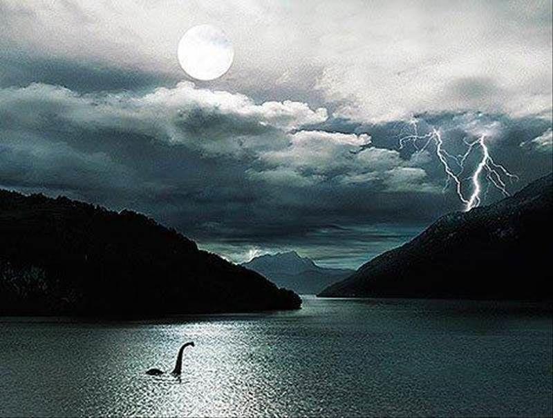 El Loch Ness Monster... ¿Quizás decida mostrarse cuando estémos haciéndole una visita? LOCH NESS MONSTER CRUISE CRUCERO MONSTRUO DEL LAGO NESS